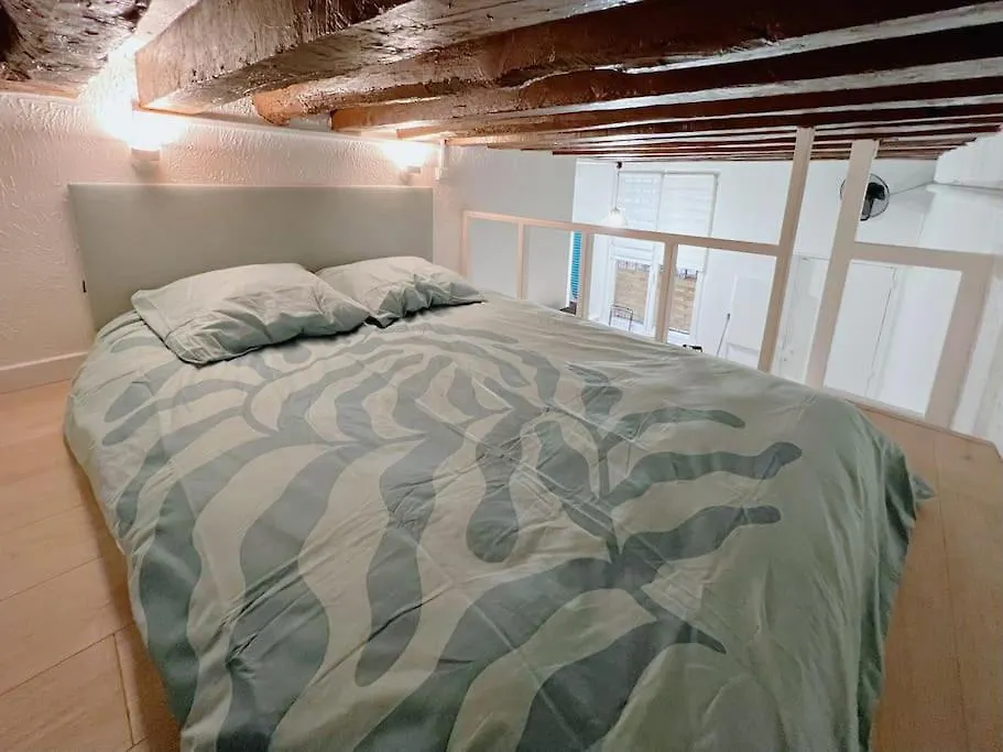 Au Centre De Apartament